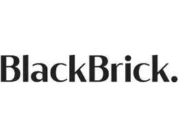 Black Brick Black Brick