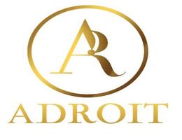 ADROIT REAL ESTATE LLC