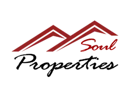 SOUL PROPERTIES L.L.C