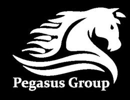 Pegasus Alliance Gulf Real Estate - Branch of Abu Dhabi (child account)