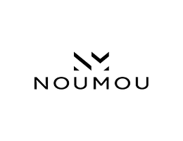 NOUMOU PROPERTIES L.L.C NOUMOU PROPERTIES L.L.C