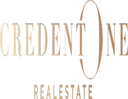 CREDENTONE REAL ESTATE L.L.C