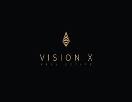 VISION X NEXUS REAL EASTE L.L.C