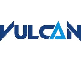 VULCAN REALTY L.L.C