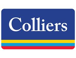 Colliers Colliers