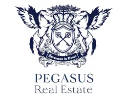 Pegasus Real Estate LLC