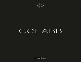 COLABB REAL ESTATE L.L.C COLABB REAL ESTATE L.L.C