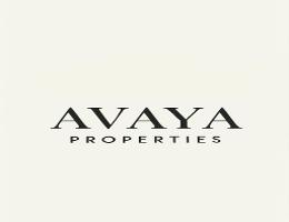 AVAYA PROPERTIES L.L.C AVAYA PROPERTIES L.L.C