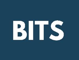 BITS Real Estate Brokers