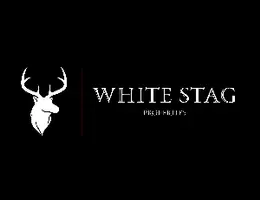 WHITE STAG PROPERTIES L.L.C WHITE STAG PROPERTIES L.L.C