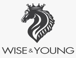 WISE & YOUNG REAL ESTATE L.L.C WISE & YOUNG REAL ESTATE L.L.C