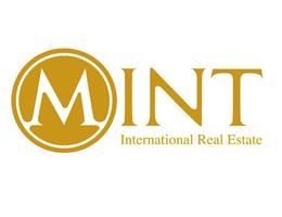 Mint International Real Estate