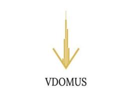 Vdomus Real Estate Broker LLC