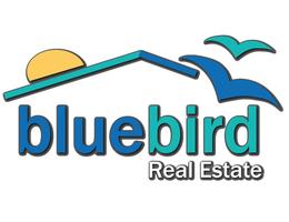 Blue Bird Real Estate - Ajman