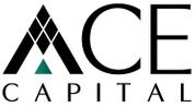 ACE Capital Real Estate Brokerage L.L.C logo image