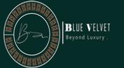 Blue Velvet Real Estate Brokerage logo image