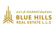 Blue Hills Real Estate LLC logo image