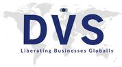 DVS REAL ESTATE BROKERS logo image