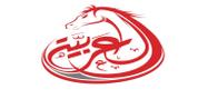 Al Arabia Marketing Company logo image
