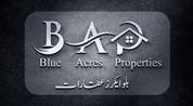 Blue Acres Properties logo image