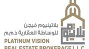 PLATINUM VISION REAL ESTATE logo image