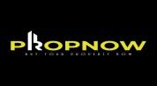 PROPNOW REAL ESTATE logo image