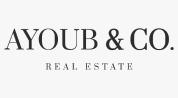 Ayoub & Co. logo image