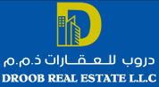 Droob Real Estate logo image