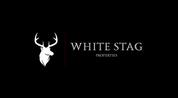 WHITE STAG PROPERTIES L.L.C logo image