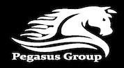 Pegasus Alliance Gulf Real Estate logo image