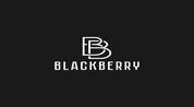 Blackberry Real Estate LLC logo image