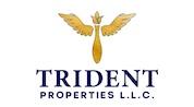 TRIDENT PROPERTIES L.L.C logo image