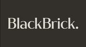 Black Brick logo image
