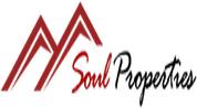SOUL PROPERTIES L.L.C logo image