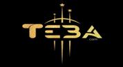 TIBA.COM REAL ESTATE logo image