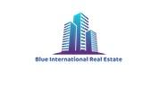 Blue International Real Estate LLC logo image