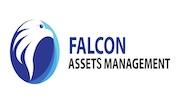 Falcon Assets Management FZC logo image