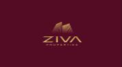 ZIVA PROPERTIES L.L.C logo image