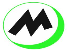 MYSTIC HOLIDAY HOMES L.L.C