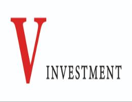 VANGUARD INVESTMENT - L.L.C VANGUARD INVESTMENT - L.L.C