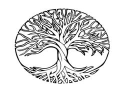 A V A V REAL ESTATE L.L.C S.O.C