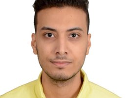 العميل Mahmoud  AlSayed