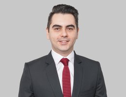Georgian Daniel Nedelcu
