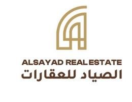 Agent Mohamed Soliman