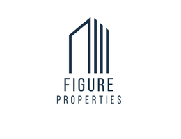 العميل Figure Properties