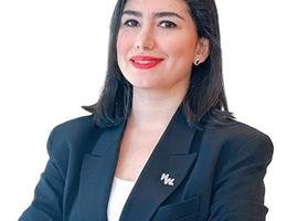 العميل Parnoosh Salamat