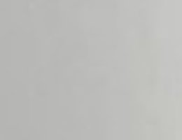 Agent Muhammad  Mubashir