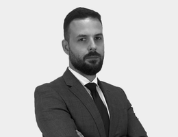 Fabricio Saltini