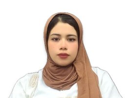 العميل amira ismail