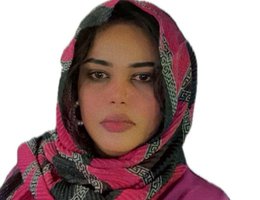 العميل Areej Adam